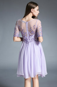 Elegant embroidered A-line mini dress