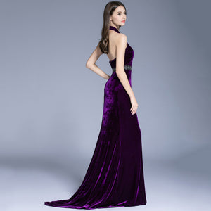 Zona Halter Neck Backless Velvet Maxi Dress